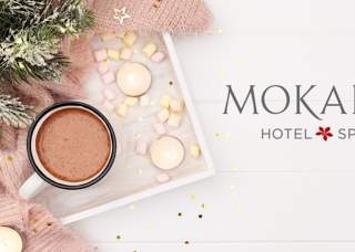 Marshmallows & Squishmallows: A High Hot Chocolate Experience