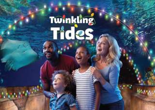 Twinkling Tides