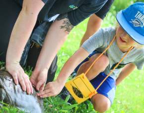 Inspiring Young Naturalists: Summer Camp at the Natural History Museum