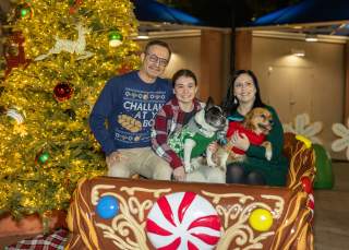 a family posing in a holiday sleigh in Chandler, AZ