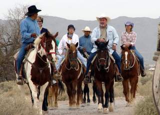 A Group Of People Horseback Riding in Chandler, AZ