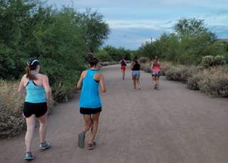 A Day of 10,000 Steps in Chandler