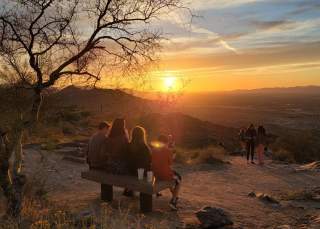 Four Places to Hike (or Walk) through the Sonoran Desert in Chandler, AZ