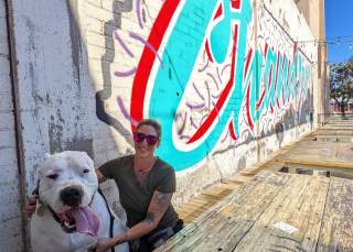 Best Dog Friendly Restaurants in Chandler