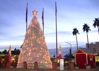 Tumbleweed Tree and Santa's House