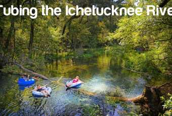 Florida Travel: Learn How to Tube in Ichetucknee Springs State Park