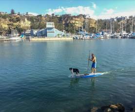 Paddleboard and Dog