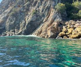Zip Line Eco Tour on Catalina Island