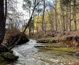 A babbling brook flows alongside a trail at Cahaba River Park.