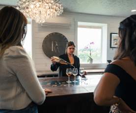 Group Wine Tasting at Priest Creek Winery 2
