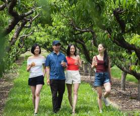 Photo part of Summer 2024 DBC Coop Production July 2 - 4, 2024.