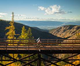 Photo taken October 16, 2024