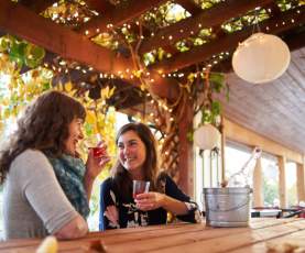 Meadow Vista Honey Wines (56)