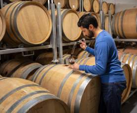 Volcanic Hills Winery-Bobby Gidda President
