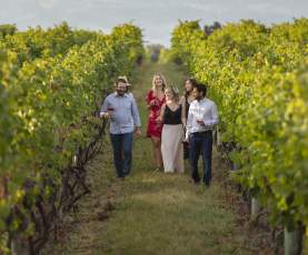 Volcanic Hills Estate Winery Guided Tour in Vineyard 11