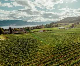 Boucherie_Road_West_Kelowna_Vineyards_Aerial_3_