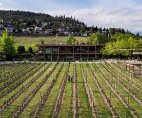 Part of Spring 2022 Westside Wine Trail Shoot