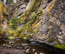 Glen Canyon Regional Park Fall 2