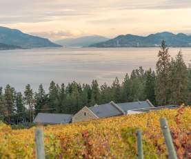 View of Downtown from CedarCreek Estate Winery 3