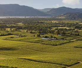 The View Winery Vineyards Aerial 1
