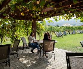 Group Enjoying Glass of Wine on Patio of Priest Creek Winery 1