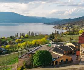 Gray Monk Winery Aerial 4
