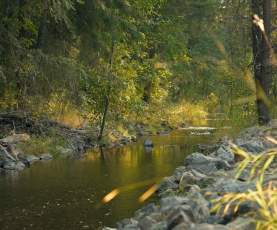 Salmon Spawning Channel at Mission Creek Regional Park