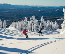 Skiing at Big White Ski Resort 3