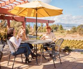 2023, Fall, October. Photo from Traveling Out in the Thompson Okanagan (TOTO) October 2023 Photoshoot.