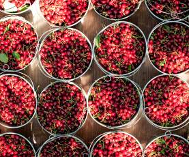 Farms, Orchards and Gardens