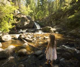 Mill Creek Regional Park Falls