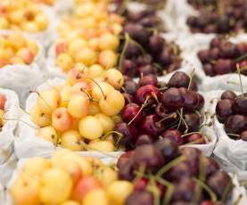 Split Cherries at the Kelowna Farmers' & Crafters' Market