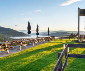 Black Swift Vineyards