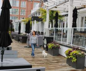 Hotel Eldorado Boardwalk with Dog