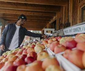 Fresh apples on display at Gatzke's Farm Market in Oyama, Okanagan Valley