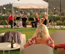 Golden Hour Concert Series, Grizzli Winery