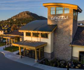 Grizzli Winery