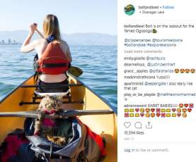 Photo of Bolt & Keel Instagram Post
