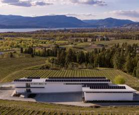 Tantalus Vineyards