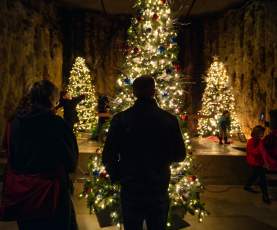 Festival of Trees at Mission Hill