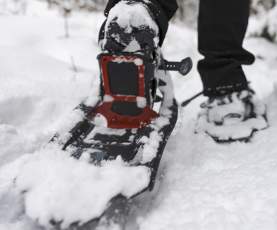 Snowshoe Closeup at Telemark Nordic Club