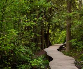 Mill Creek Regional Park Spring 1