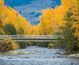 Mission Creek Greenway Regional Park Fall 1