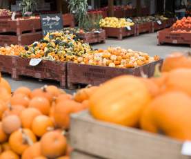 Fall harvest season at Paynter's Fruit Market in West Kelowna, Okanagan Valley