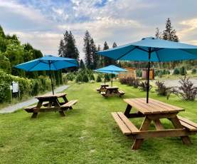 Meadow Vista Honey Wines Outdoor Space