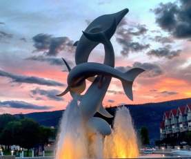 Sunset at Dolphin | Blog Lead Image