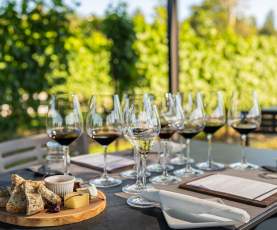 Ex Nihilo Paired Tasting