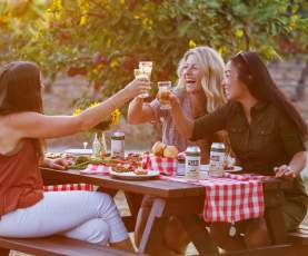 Orchard Picnic at The View & Wards Cider 2
