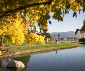 Waterfront Park in Fall