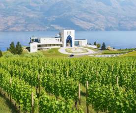 Azhadi Vineyards